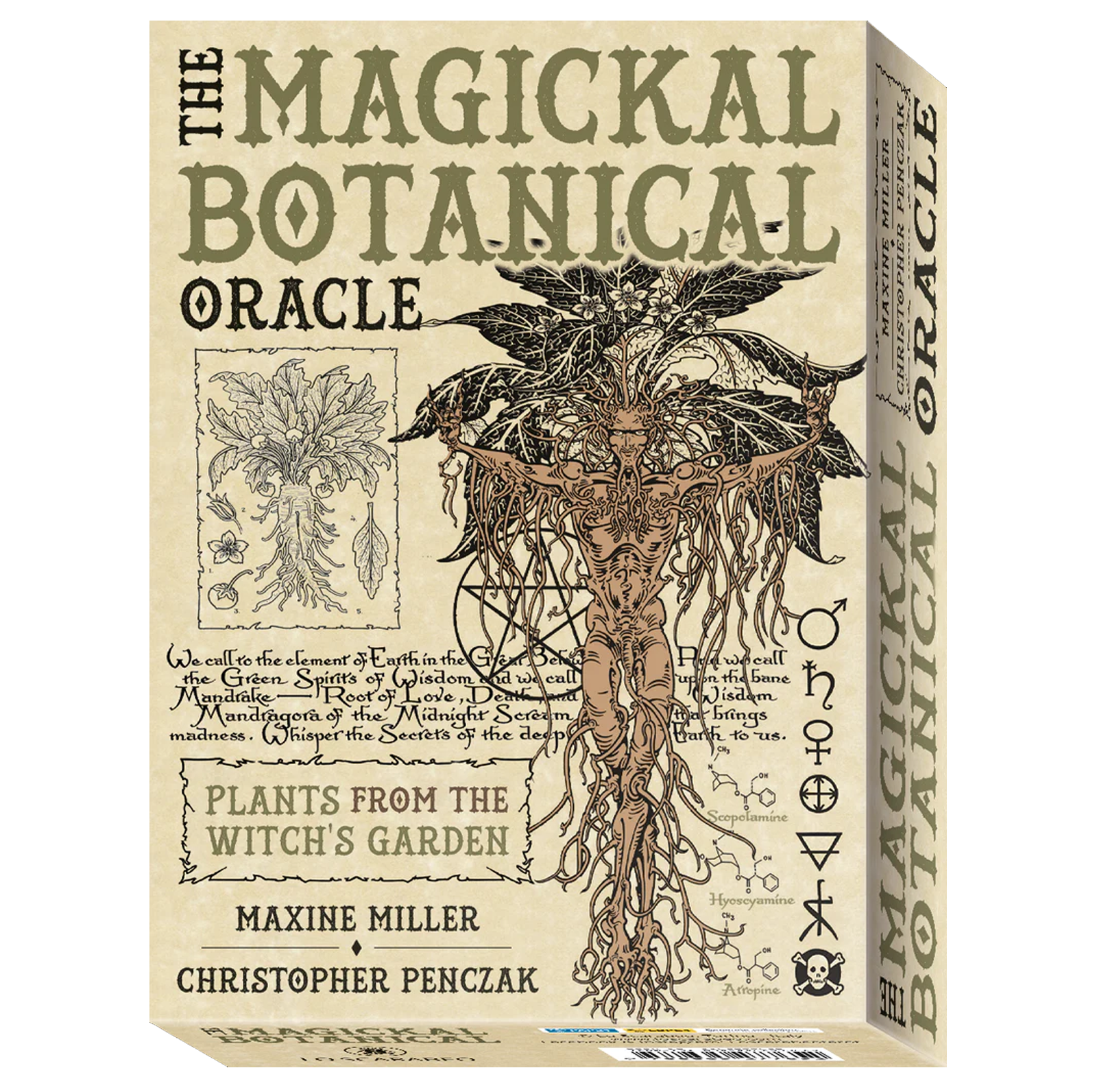 Die magischen botanischen Orakelkarten Lo Scarabeo -Natürliche Magie & altes Pflanzenwissen