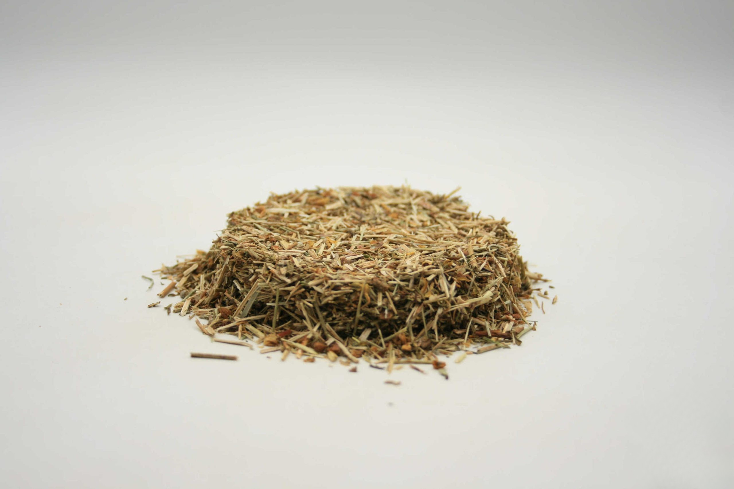 Johanniskraut (Hypericum perforatum)