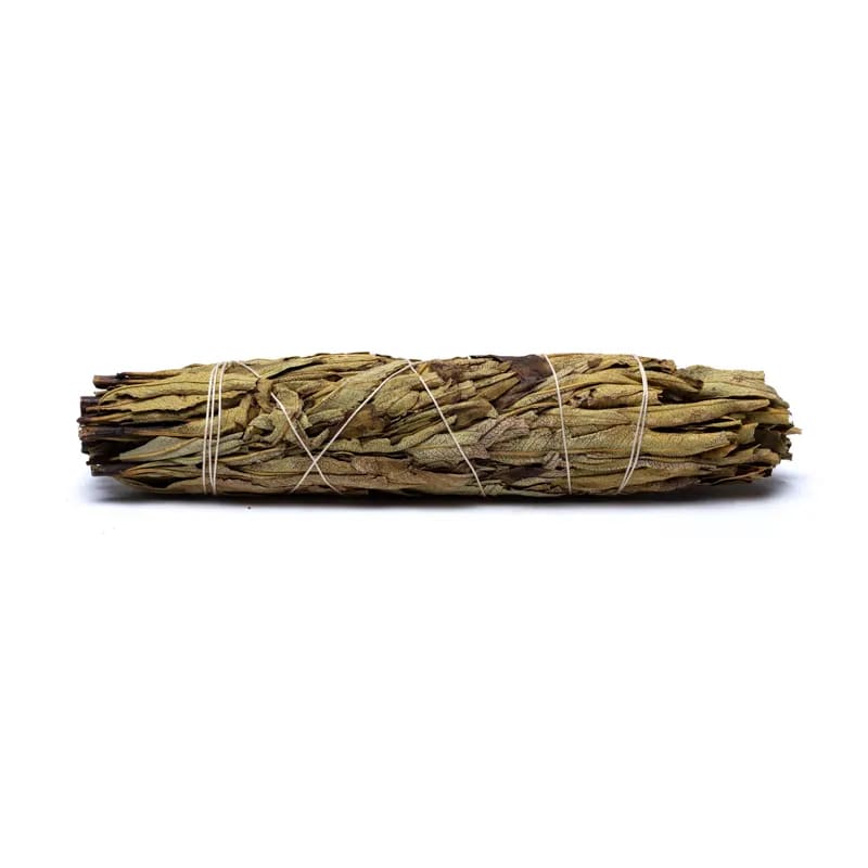 Yerba Santa Smudge gross Räucherwerk, Santakraut