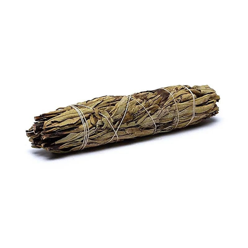 Yerba Santa Smudge gross Räucherwerk, Santakraut