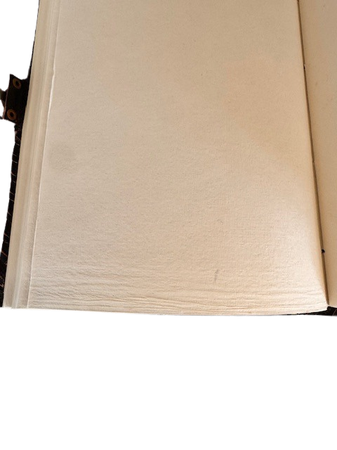 Buch der Schatten – Für Rituale, Zauber & Notizen