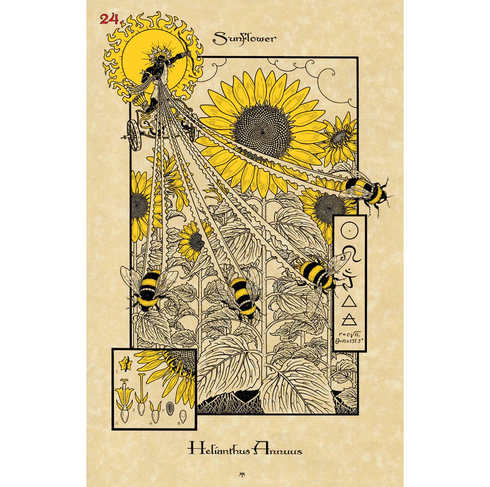 Die magischen botanischen Orakelkarten Lo Scarabeo -Natürliche Magie & altes Pflanzenwissen