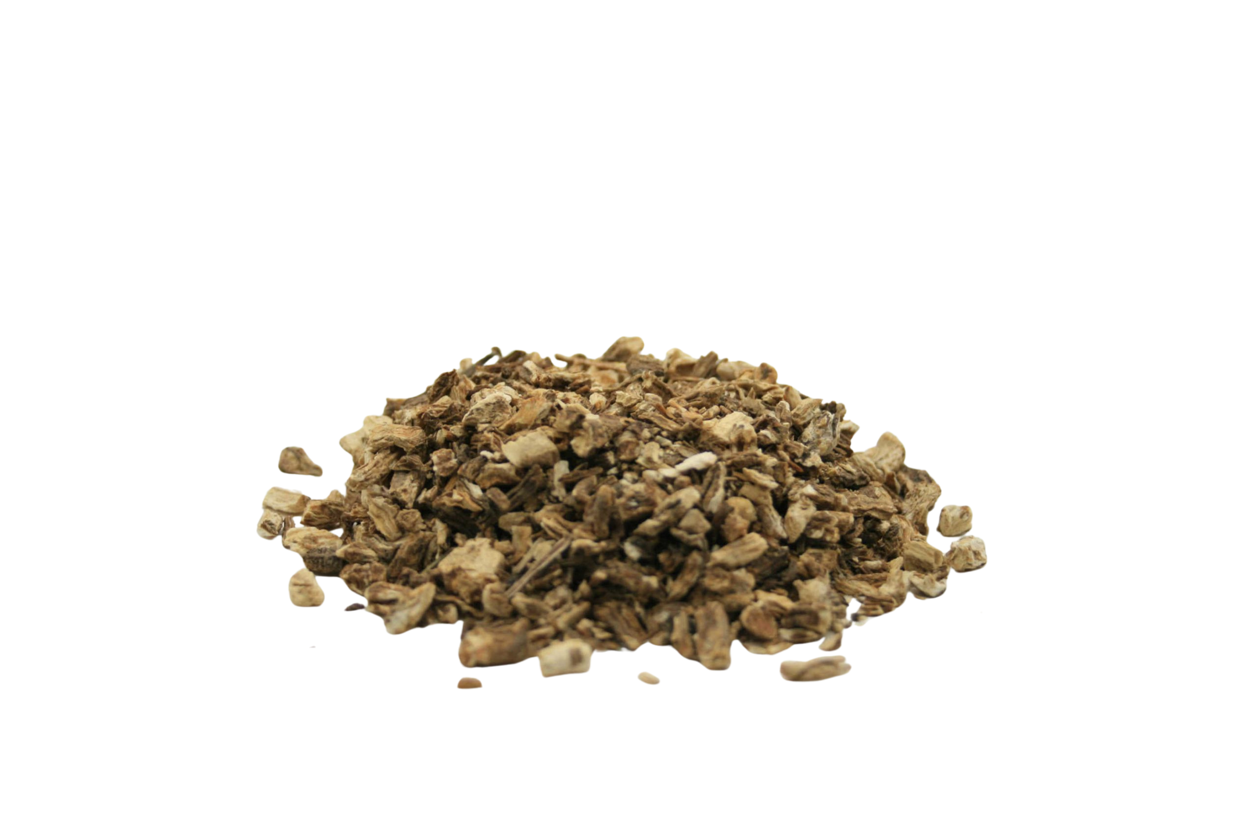 Angelikawurzel (Angelicae radix), Engelwurz