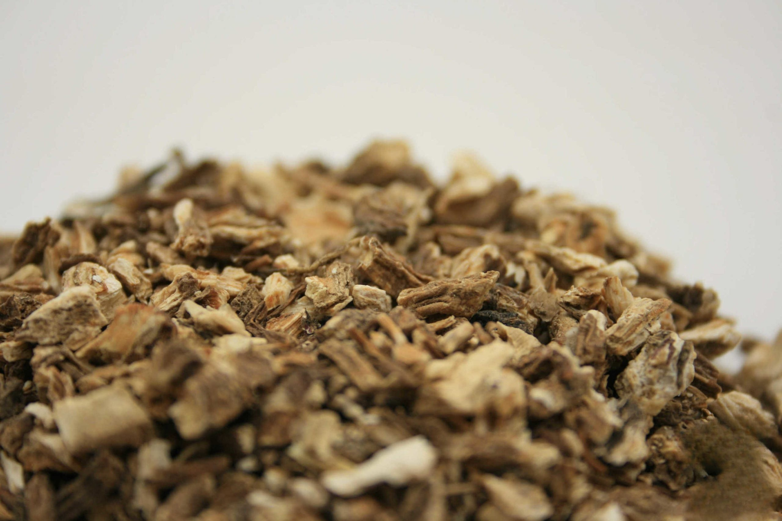 Angelikawurzel (Angelicae radix), Engelwurz