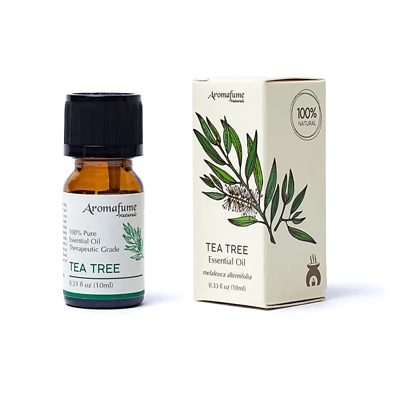 Aromafume Teebaum – Ätherisches Öl der Klarheit & Erneuerung