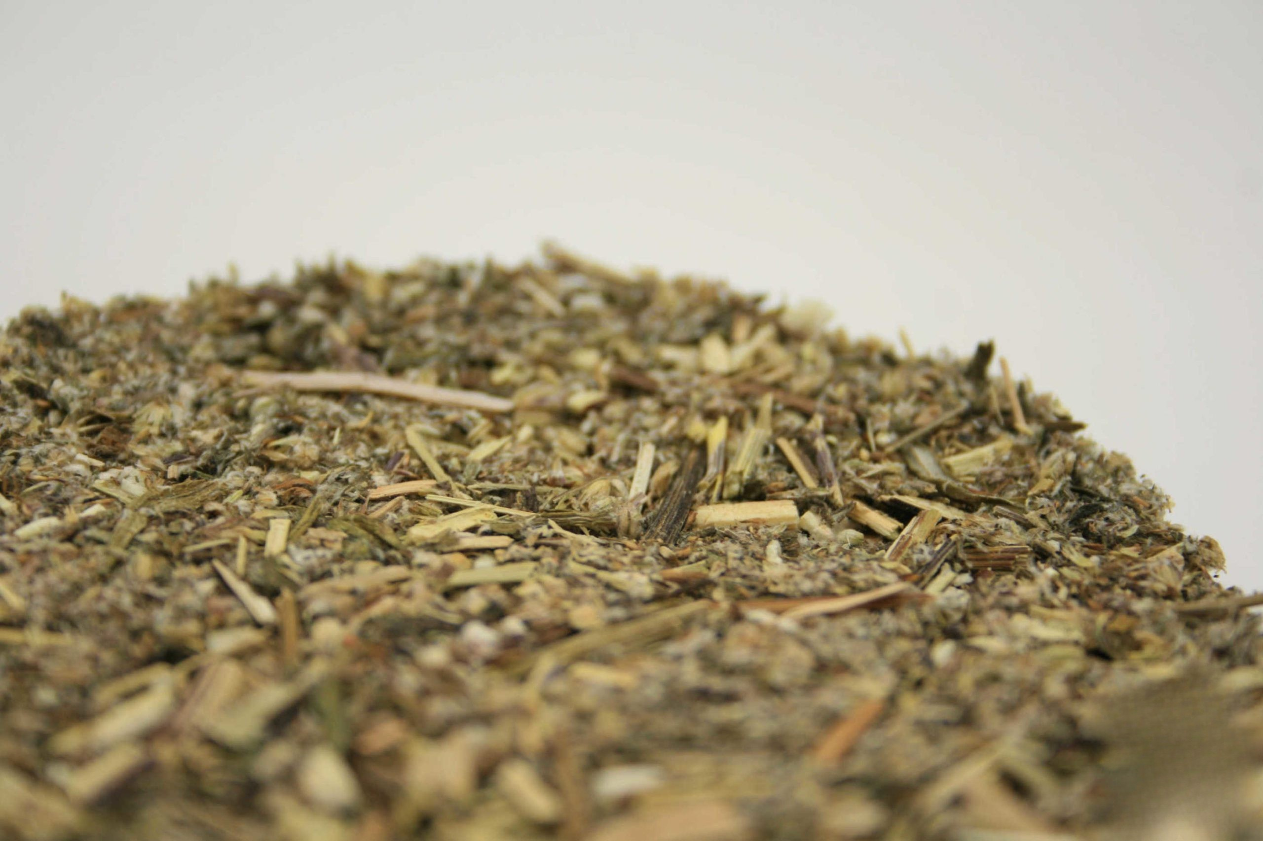 Beifußkraut (Artemisia vulgaris)
