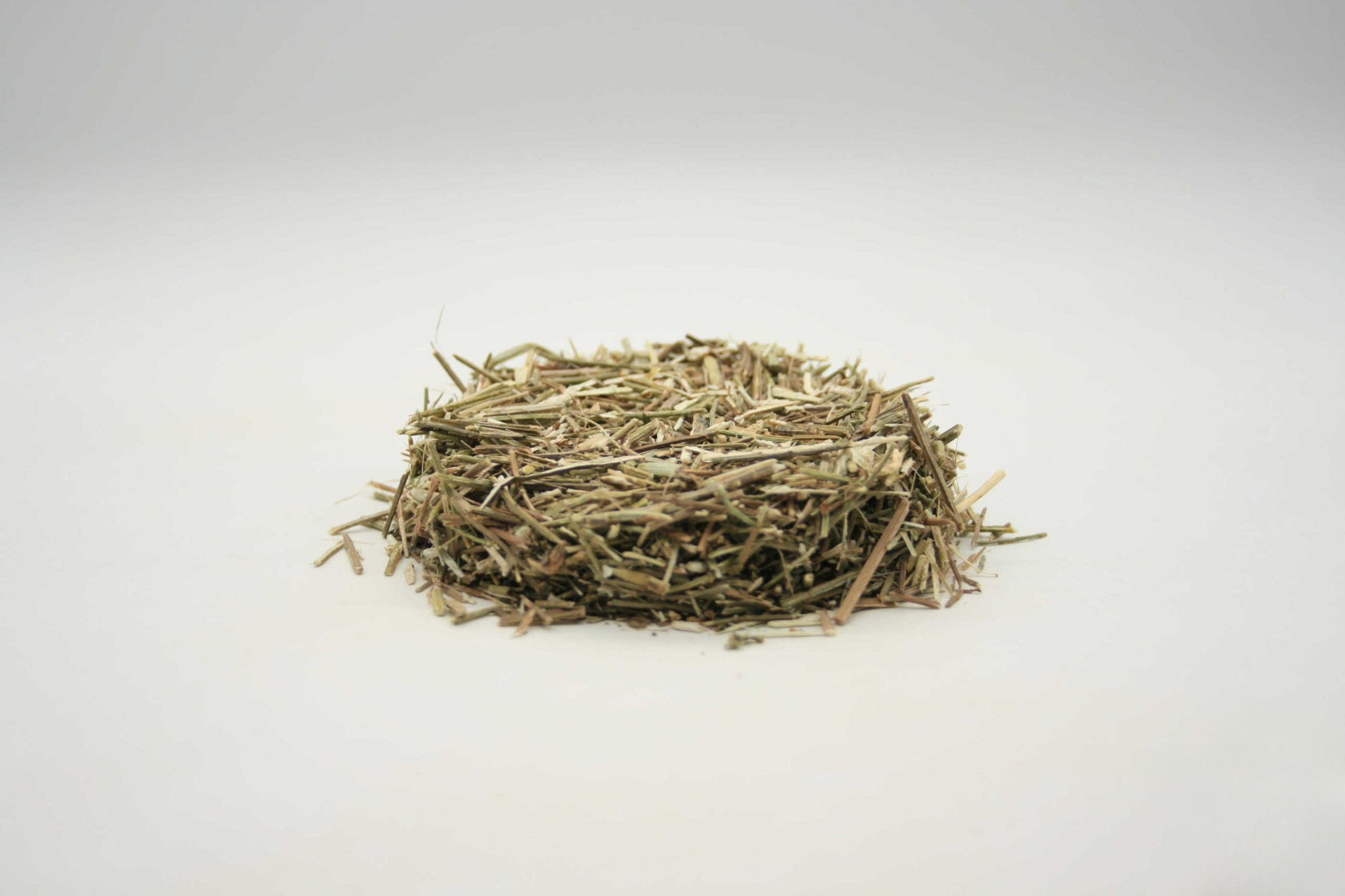Eisenkraut (Verbena officinalis)