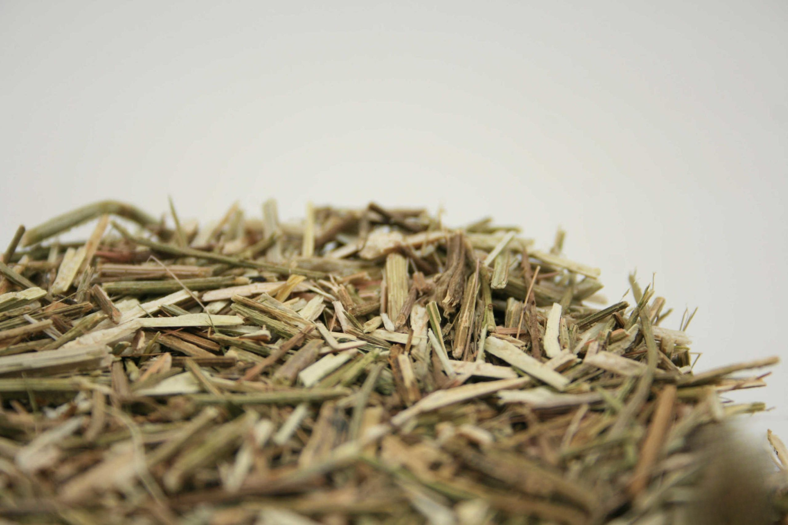 Eisenkraut (Verbena officinalis)