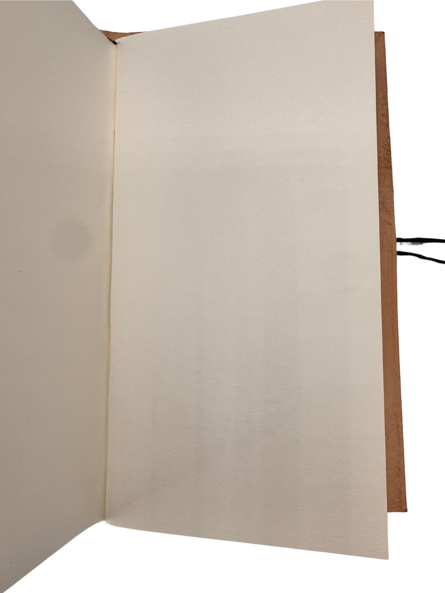 Das kleine Buch großer Pläne – Leder & Intuition