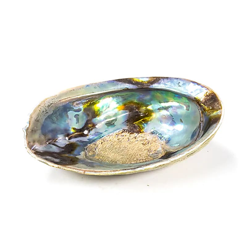 Regenbogen Abalone Paua | Natürliche Räucherschale aus Neuseeland