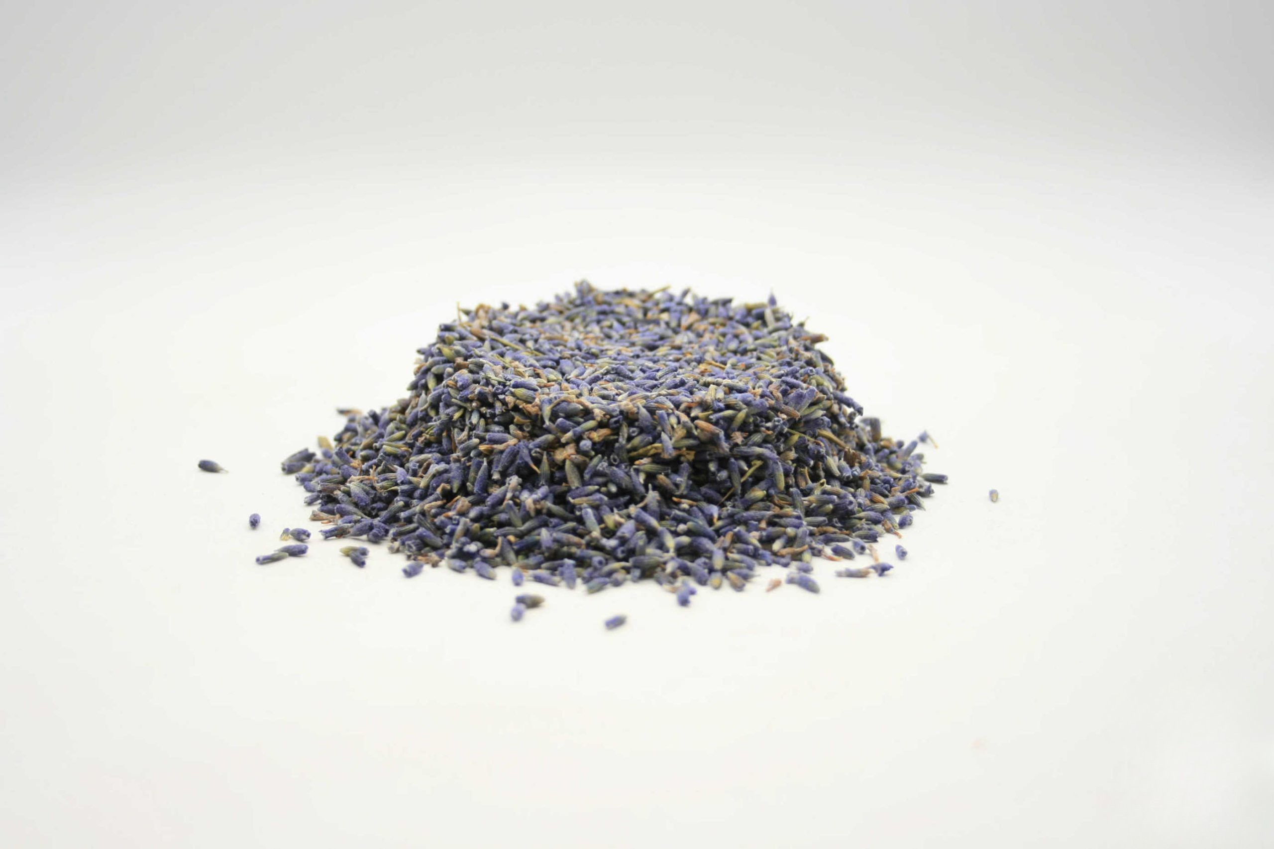 Lavendelblüten blau,  Lavandula angustifolia
