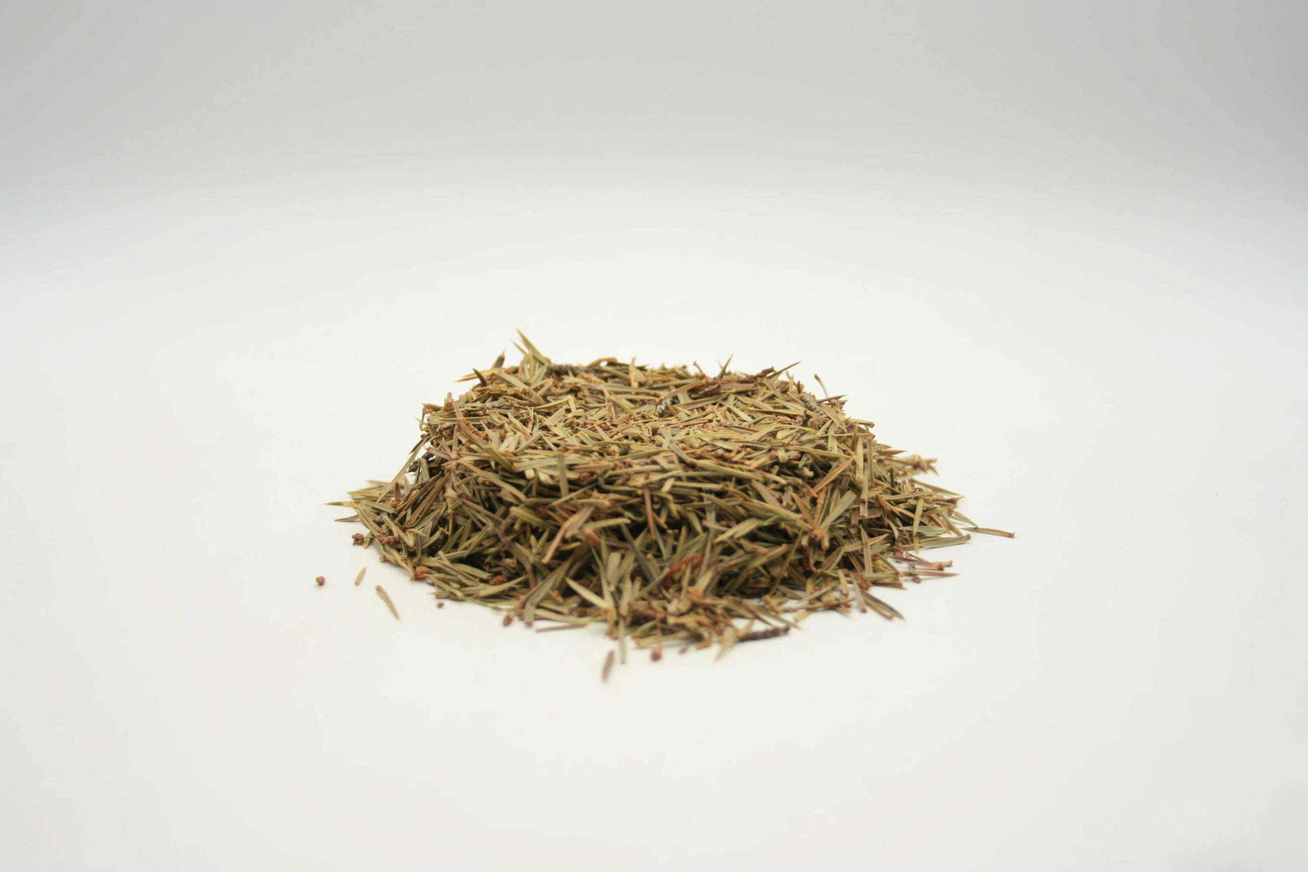 Wacholderspitzen ganz (Juniperus communis)